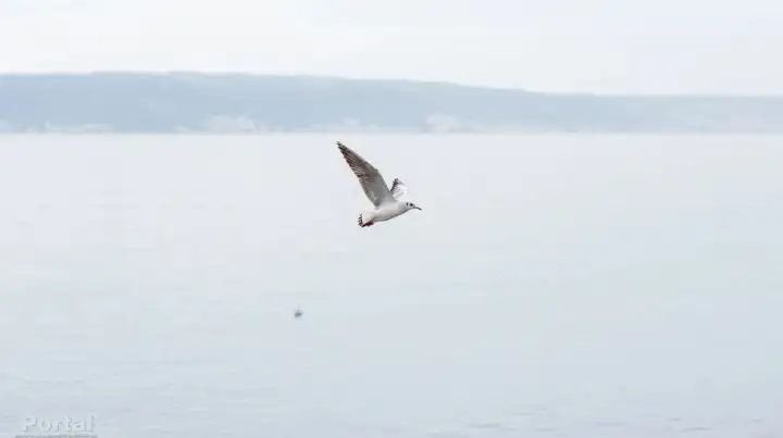 HDMZ: Oblačno uz povremenu kišu, bura