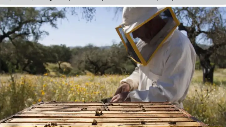 Novi ciklus Male škole pčelarstva – Kako postati pčelar?
