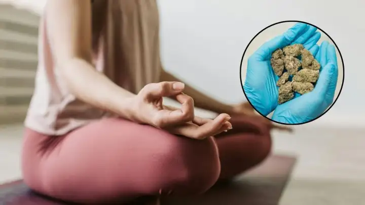 Umirovljenica (50) držala marihuanu jer joj pomaže nakon kemoterapije, sad mora platiti kaznu