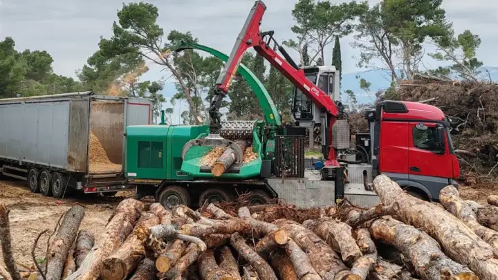 Započinje odvoz drvne mase iz Park-šume Marjan