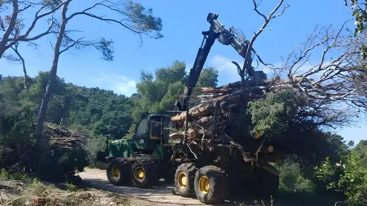 Sanacija vjetroloma u Park-šumi Marjan – nastavak aktivnosti i aktualno stanje
