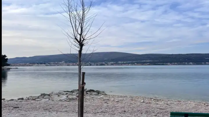 Na plaži Miševac zasađeni tamarisi, stižu i nove klupe