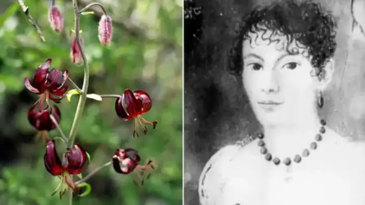 Split dobiva mural u čast prve hrvatske botaničarke Marije Selebam de Cattani