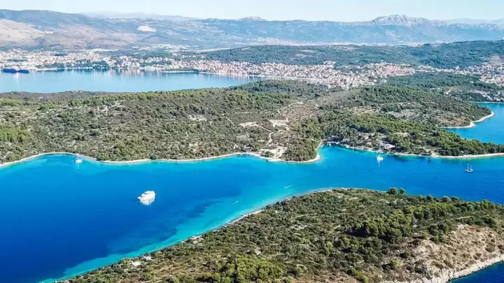 POZIV ZAINTERESIRANOJ JAVNOSTI - Prijava za nabavu sadnog materijala