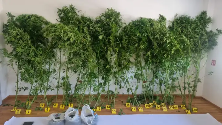 Uskok podigao optužnicu protiv šestorice uhićenih u akciji Karbon