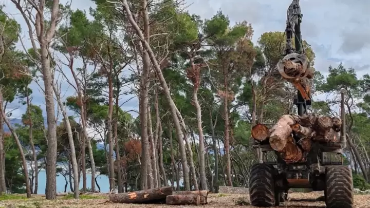 Privremeno se obustavljaju radovi na Marjanu - Park-šuma se otvara za građane