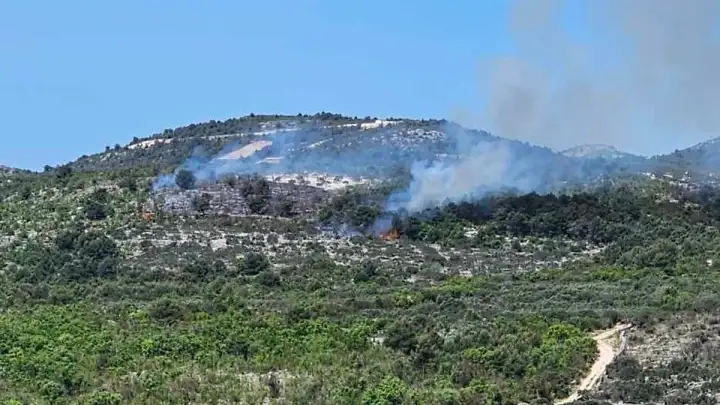 Požar u Marini: planula borovina, masline i nisko raslinje