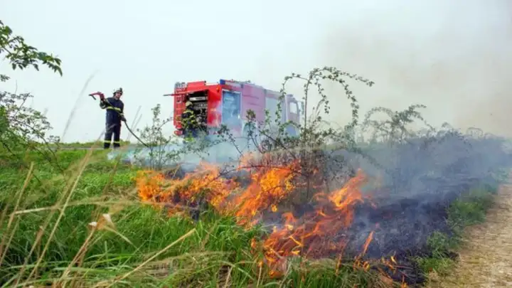 Spaljivanje trave izmaklo kontroli, priskočili vatrogasci