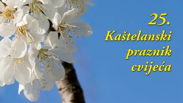Najavljen bogat program 25. Kaštelanski praznik cvijeća: Srebrni jubilej uz mirise tradicije i ljepotu baštine