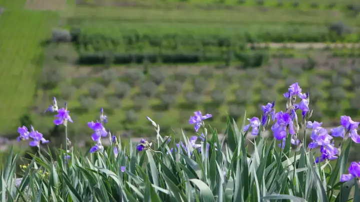 WWF: Hrvatska ušla u ekološki dug, čak tri mjeseca prije globalnog prosjeka