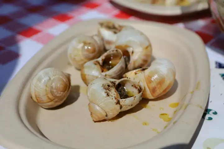 Vrgorac: Gastronomska manifestacija 