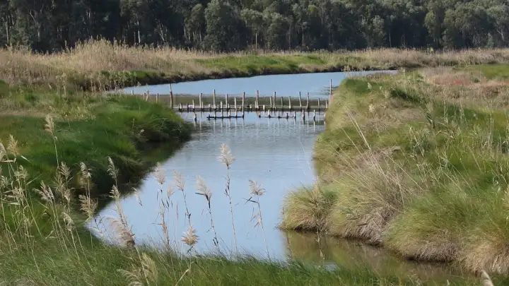 Dalmacija: Županija sufinancira sustave navodnjavanja