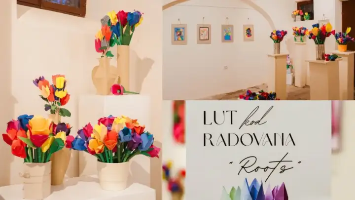 2000 origami tulipana za obnovu škole: Otvorena izložba ''Roots''