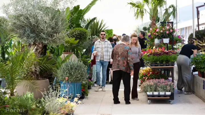 sajam cvijeca marina kastela 47n