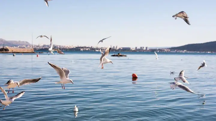 U nedjelju počinje klimatološko proljeće. Dijelove Jadrana 