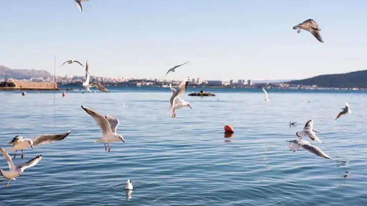 FOTOBESIDA: Kaštela okupana zimskim suncem i hladnoćom, bilo je čak minus 2 °C (FOTO)