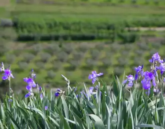 WWF: Hrvatska ušla u ekološki dug, čak tri mjeseca prije globalnog prosjeka