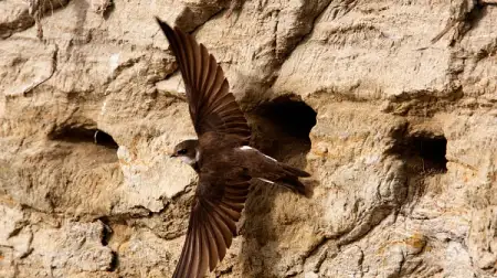 Ministarstvo: Utrka za prirodu počinje u petak