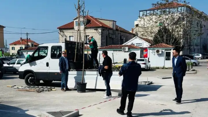 OZELENJAVANJE TROGIRA SE NASTAVLJA: TRAVARICA DOBIVA NOVA STABLA