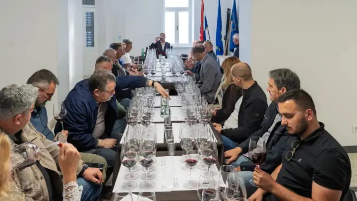 vina hvar 16n