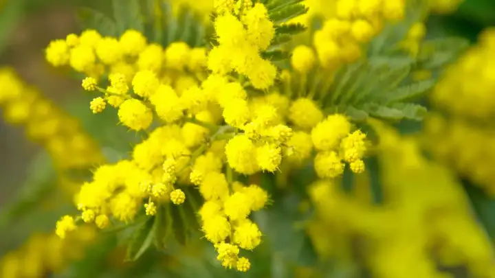 DHMZ - Državni hidrometeorološki zavod